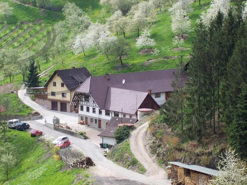 Ferienwohnung Schneckenhus Lautenbach Экстерьер фото