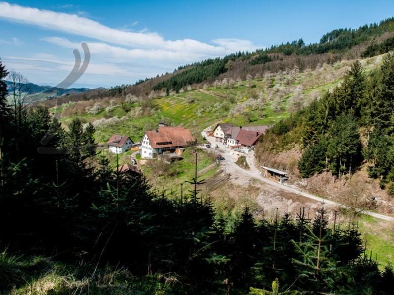 Ferienwohnung Schneckenhus Lautenbach Экстерьер фото