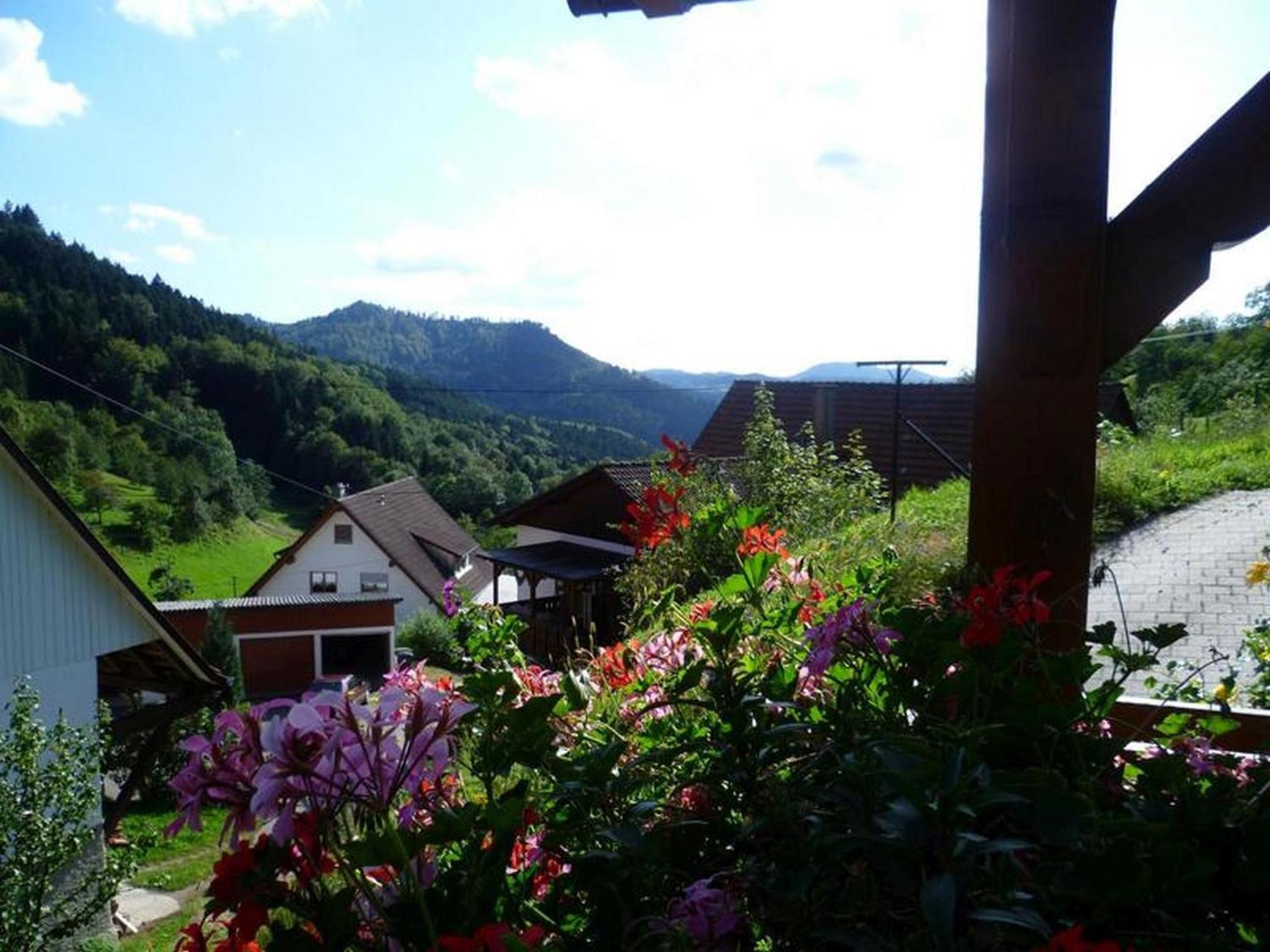Ferienwohnung Schneckenhus Lautenbach Экстерьер фото