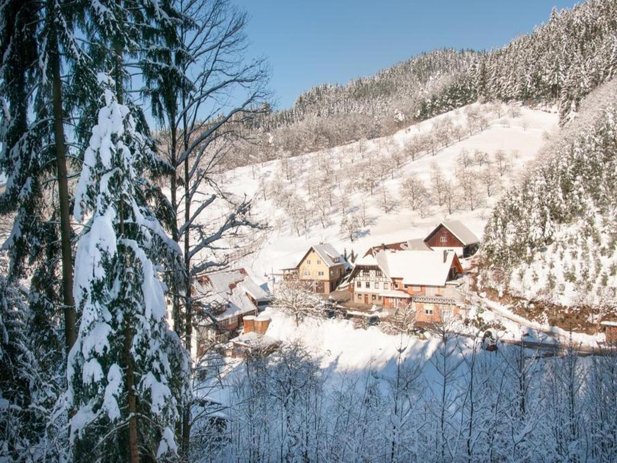 Ferienwohnung Schneckenhus Lautenbach Экстерьер фото